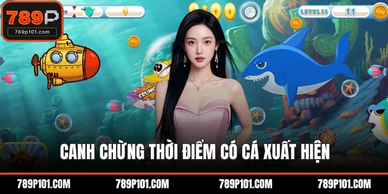 Canh chừng thời điểm có cá xuất hiện