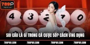 Soi cầu là gì trong cá cược số